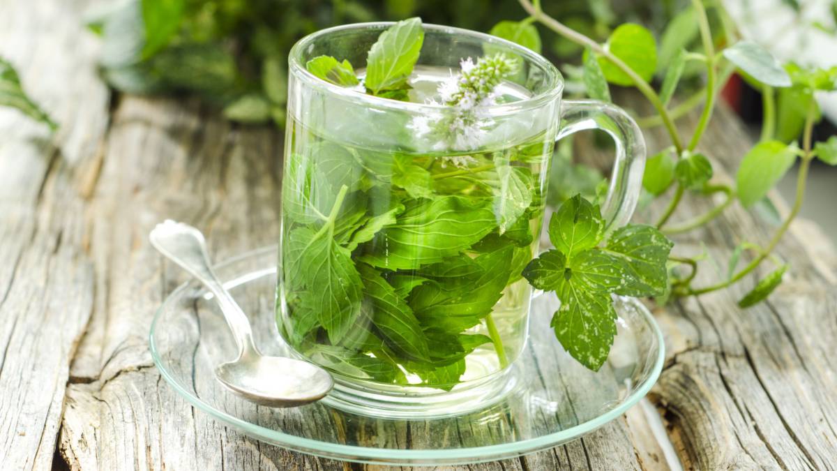 Protege el hígado y el estómago con infusiones de ajenjo