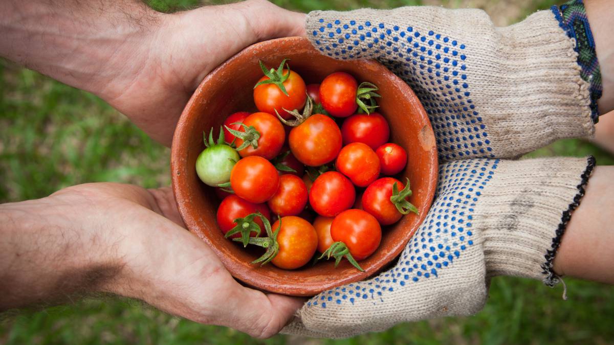 slow food, alimentación, nutrición, salud, estilo de vida
