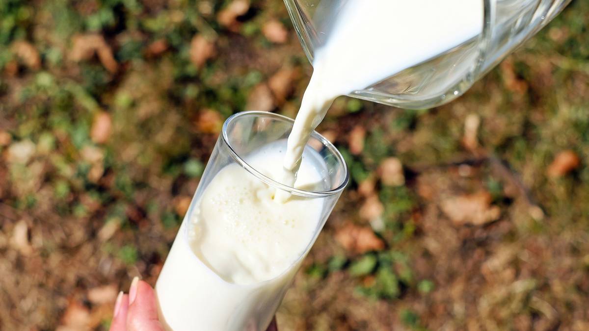 intolerancia alimentaria, alergia alimentaria, salud