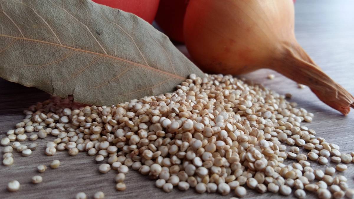 quinoa, alholva, semillas, sobrepeso, obesidad, dieta, nutrición