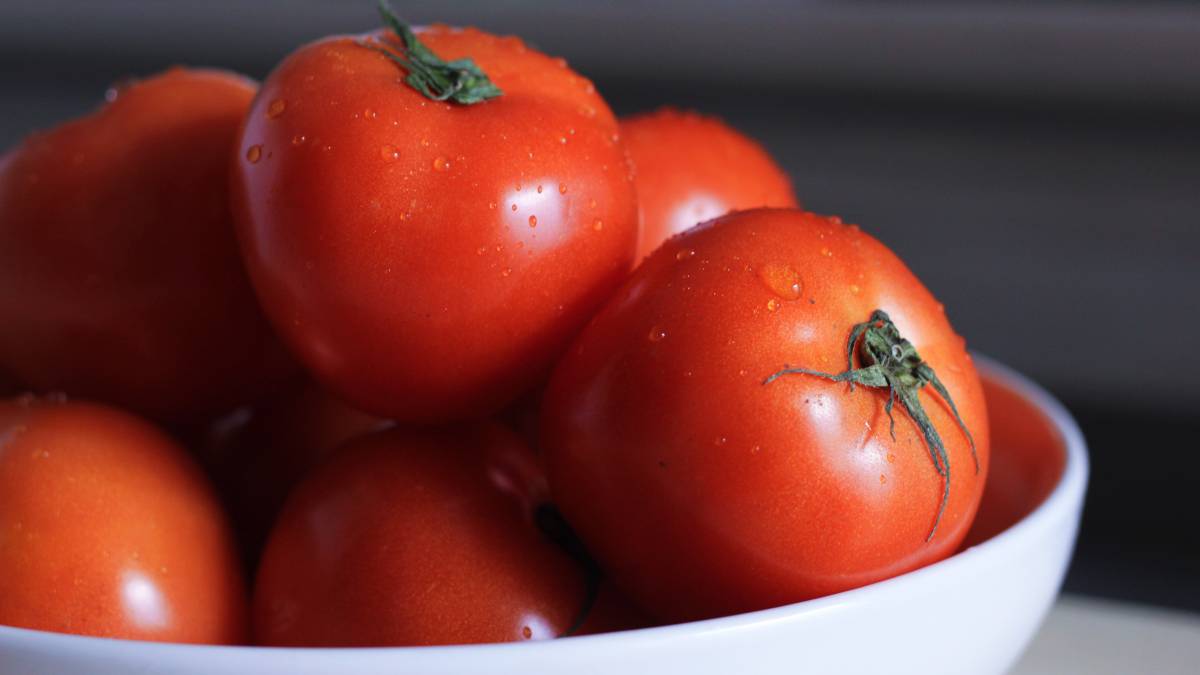 salud, nutrición, vitamina e, alimentos, dieta mediterránea