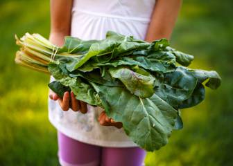 10 reglas básicas para adoptar una alimentación sostenible (y saludable)