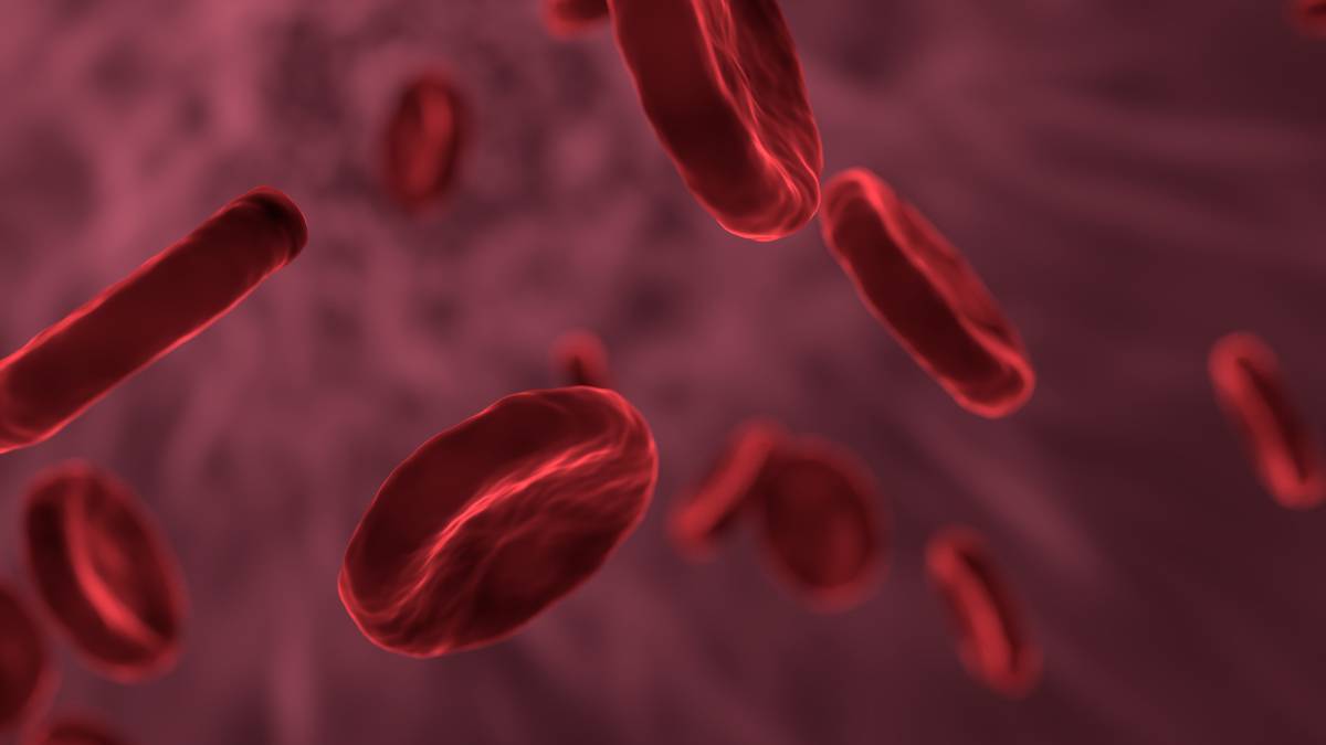 transfusiones de plasma, agencia americana del medicamento, polémica, salud