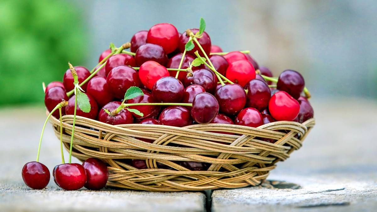 estacionalidad, fruta, salud, efectos nutrición