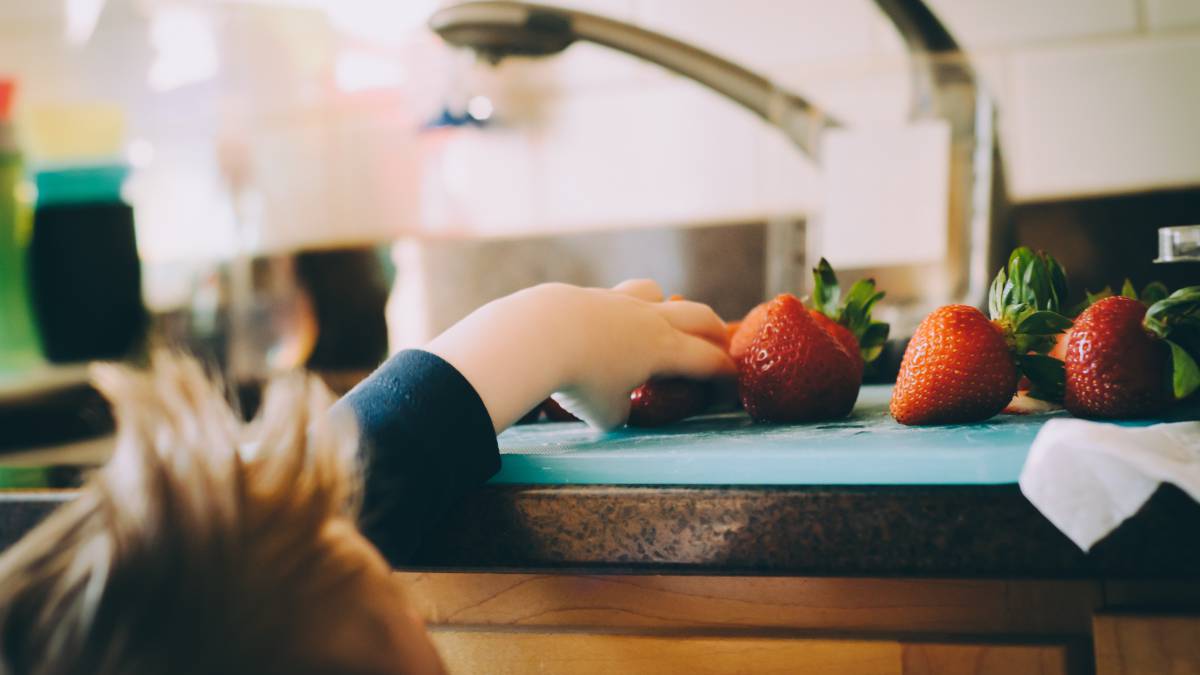lunes sin carne, nueva york, salud, nutrición, medio ambiente, obesidad