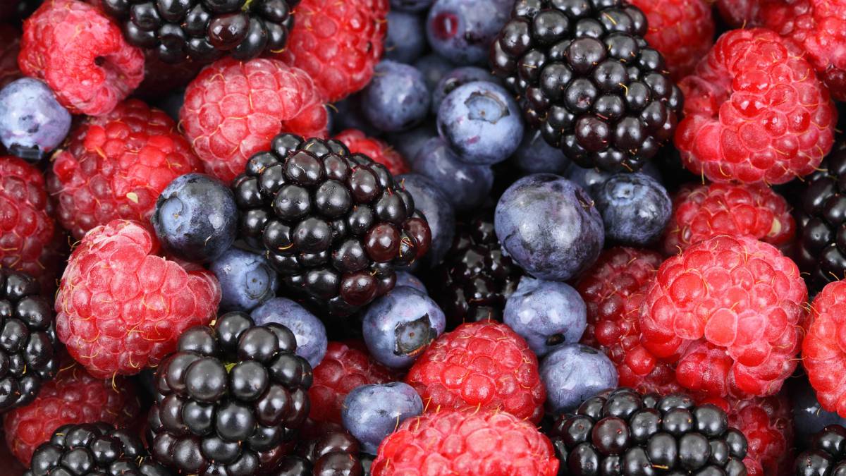 polifenoles, salud, enfermedades cardiovasculares, nutrición, antioxidante, antiinflamatorio, alimentos, café, frutas, verduras
