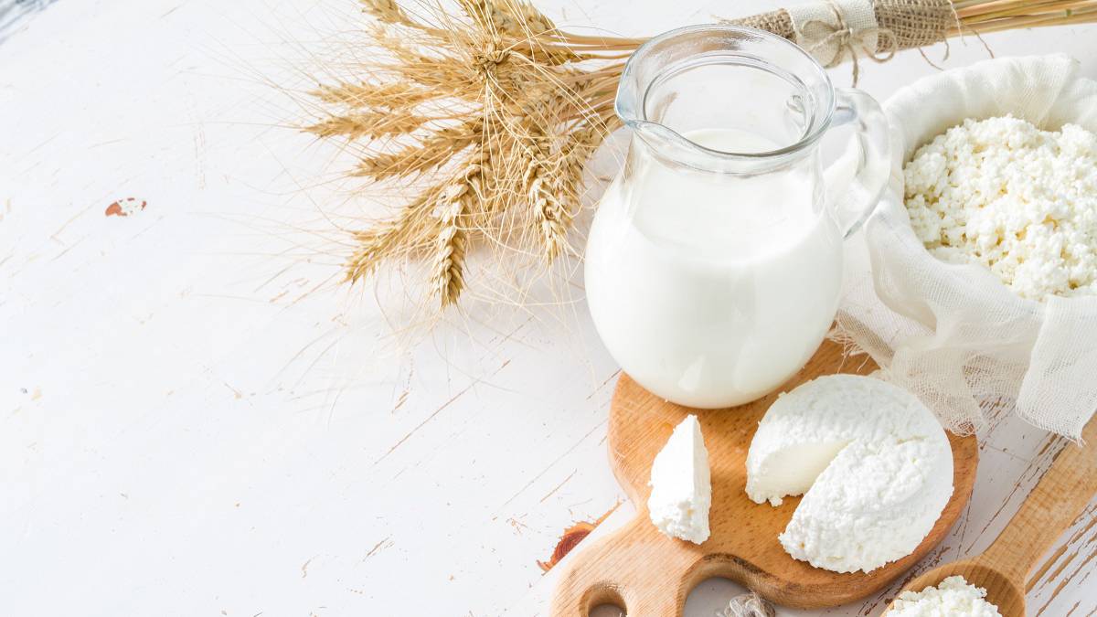 intolerancia alimentaria