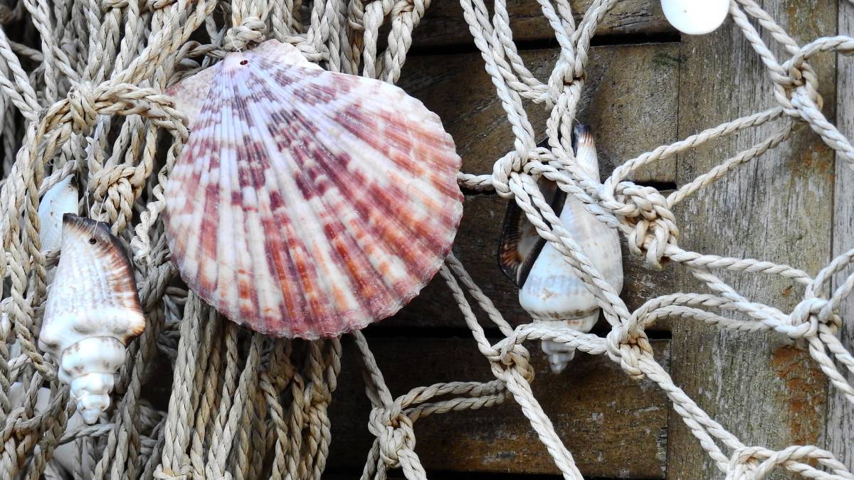 dieta atlántica, nutrición, dieta mediterránea, salud, alimentos, galicia, pescados, mariscos, enfermedades