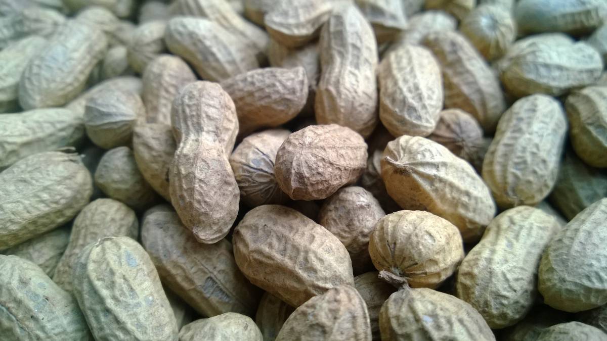 alergia alimentaria, salud, alimentos