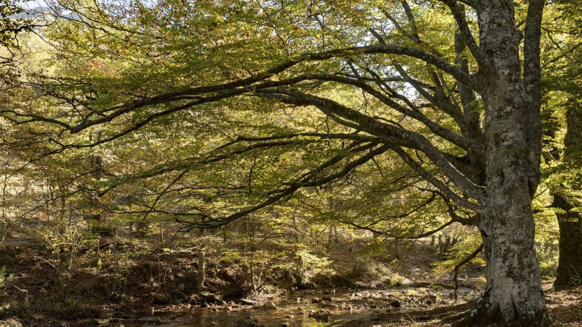 Madrid: ecoturismo a menos de una hora de la gran urbe