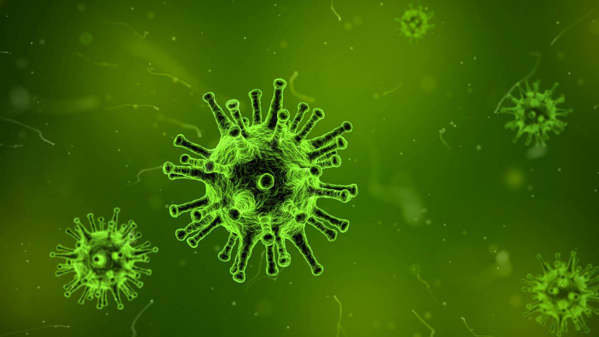 humedad baja, humedad, virus, gripe, yale, salud, enfermedades