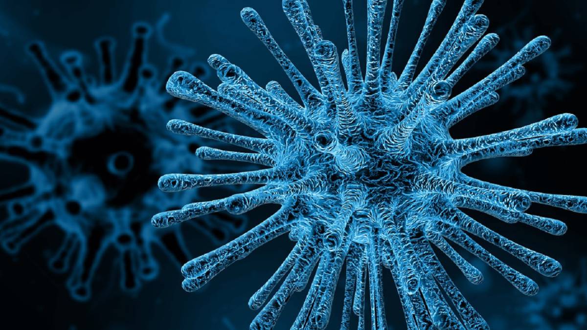 virus, gripe, salud, vacuna