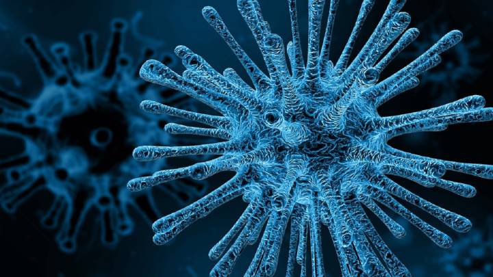virus, gripe, salud, vacuna