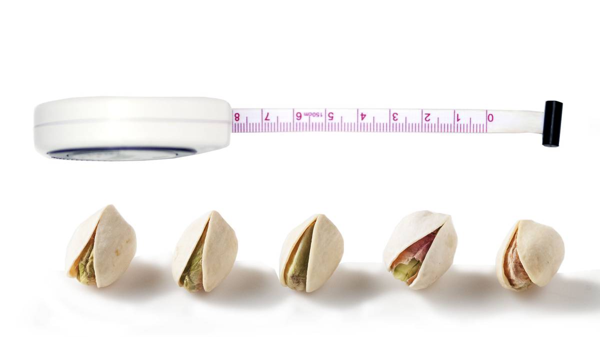 frutos secos
