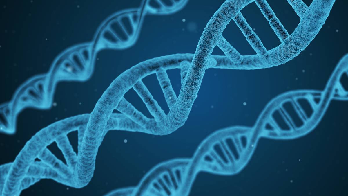 cáncer, cáncer colorrectal, salud, enfermedades, genética, adn
