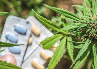 Cannabis, opioides y marihuana, el peor cóctel para tu salud mental