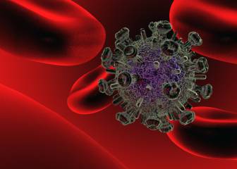 Investigadores españoles participan en el desarrollo de una vacuna frente al VIH