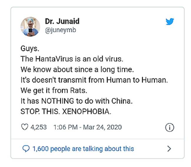 hantavirus
