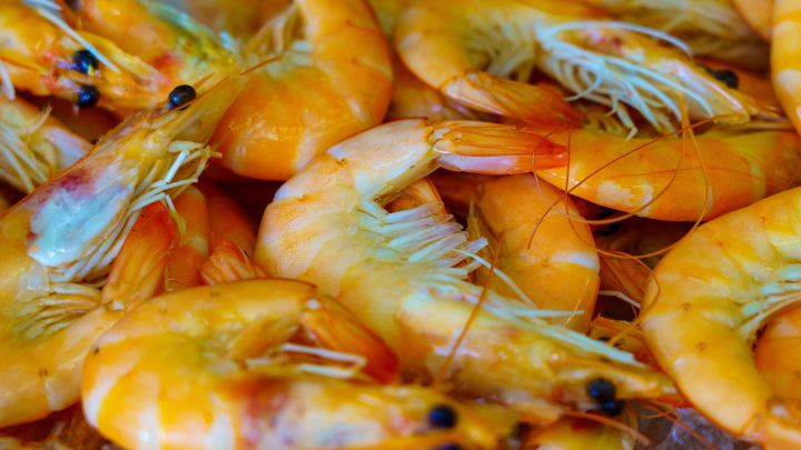 gambas, navidad, cadmio, langostinos, salud