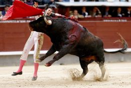 Una tarde sin argumentos Una tarde sin argumentos