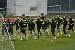 Del Bosque preps for Italy game with Diego Costa in first XI Del Bosque preps for Italy game with Diego Costa in first XI