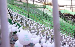 Baloons replace fans in Panathinaikos protest