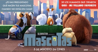 Descubre lo que hace tu mascota