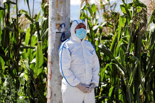 Coronavirus: así evoluciona la curva de contagios por país en América