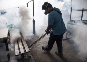 Una nueva cepa del zika podría causar otra epidemia en Brasil