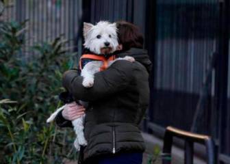 La OMS advierte del aumento de los contagios entre humanos y animales