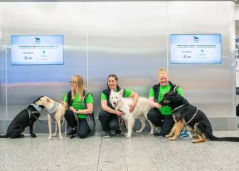 Los perros, infalibles ante el virus