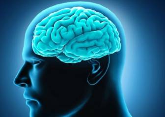 Un neurobiólogo rejuvenece su cerebro 10 años tras superar la droga