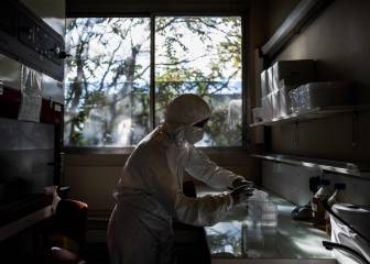 Una vacuna para tratar la leucemia