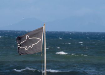Las muertes por ataque de tiburón, un problema grave en Australia