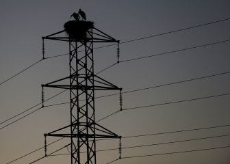 Tarifa PVPC y Tarifa mercado libre: diferencias, en cuál se paga más luz y cómo conocer el precio del kWh