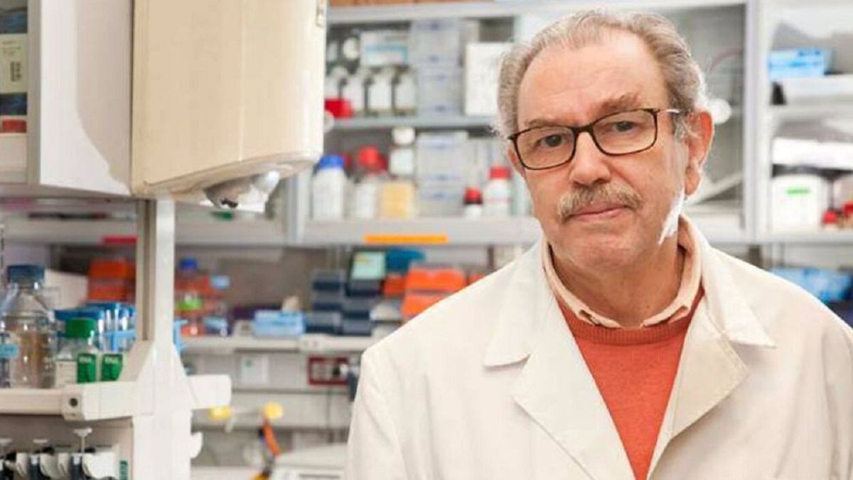 Coronavirus | Un experto del CSIC pone fecha al fin de la pandemia en España