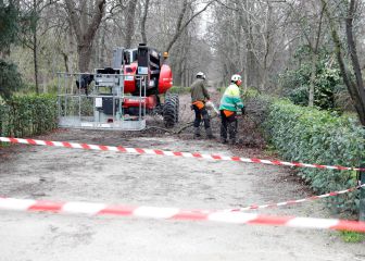 Reapertura de El Retiro hoy: zonas y puertas del parque abiertas tras Filomena
