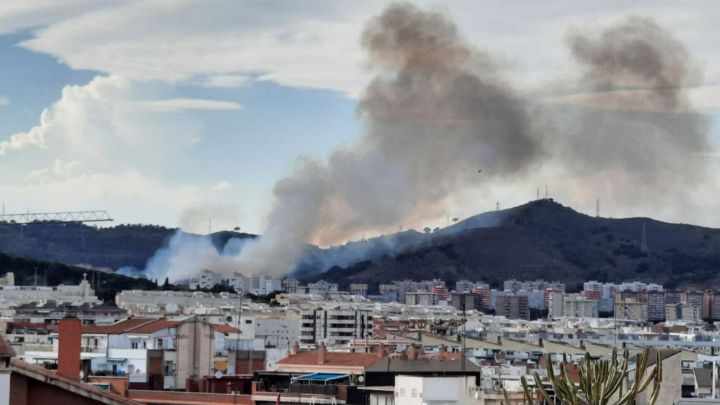 Incendio en una zona cercana a viviendas del Parque de Collserola en Barcelona