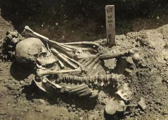 Encuentran los restos del primer ataque de tiburón a un humano