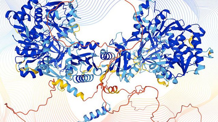 Una Inteligencia artificial de Google desvela en minutos un misterio de millones de años