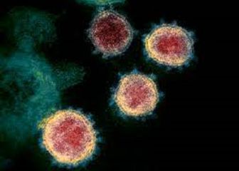 Científicos chinos descubren virus 'gigantes' en el océano