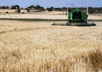Estados Unidos dispara el precio del cereal en la Lonja de Salamanca