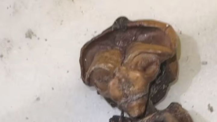 Un juez investiga el hallazgo de restos humanos en el antiguo hospital de La Línea
