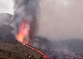 ¿Cubre el seguro los daños del volcán?