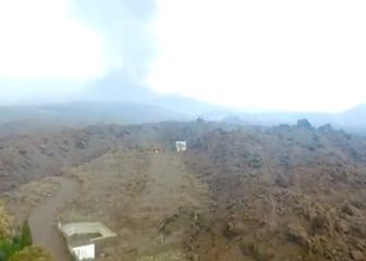 Así fue el rescate vecinal anónimo y con cámara térmica de los podencos en La Palma