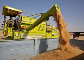 Drástica decisión de India con sus exportaciones