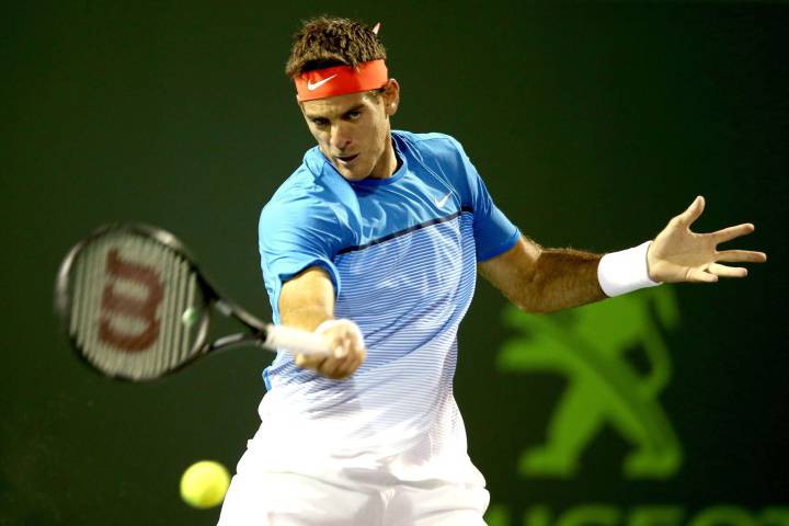 Del Potro sets up Federer clash at Miami Open