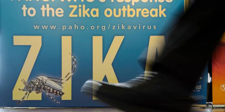 Experts seek Rio Games move over Zika virus fears