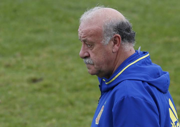 Del Bosque clarifies Iniesta's true worth