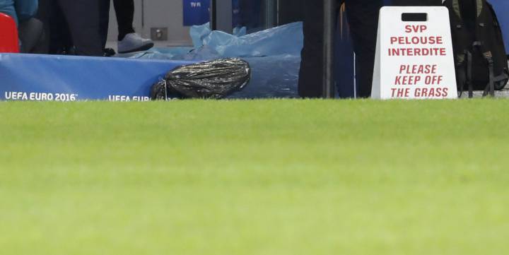 FFF chief: pitches at Euro 2016 grounds "could be better"